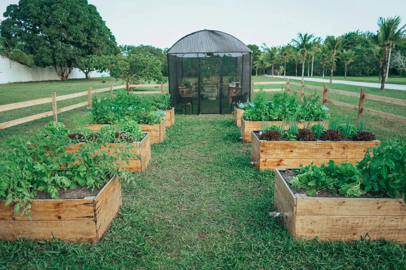 Área interna da Serenia